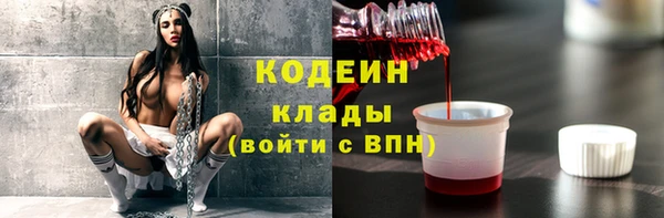прущие грибы Абаза