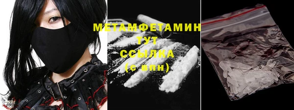 прущие грибы Абаза