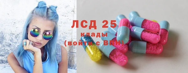 ПСИЛОЦИБИНОВЫЕ ГРИБЫ Пересвет