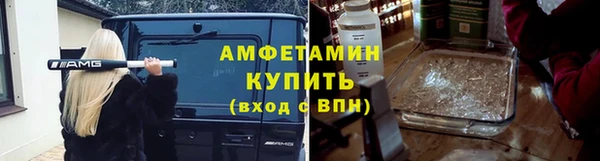 прущие грибы Абаза