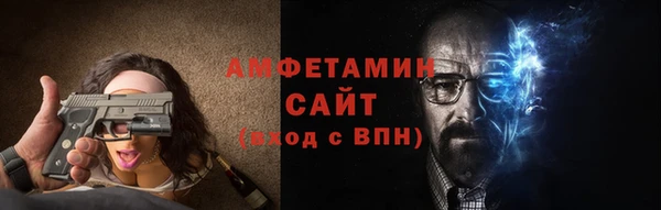 прущие грибы Абаза