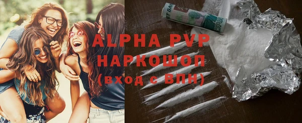 прущие грибы Абаза