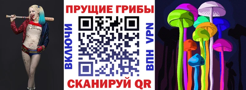 Псилоцибиновые грибы мицелий  Таштагол 